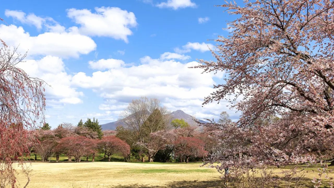 🌸 오니우시 공원